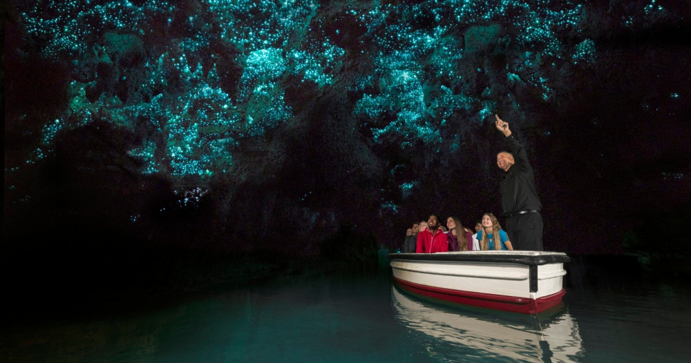 Waitomo Glowworm Caves, Zealong Tea & Kiwi Bird House Private Tour