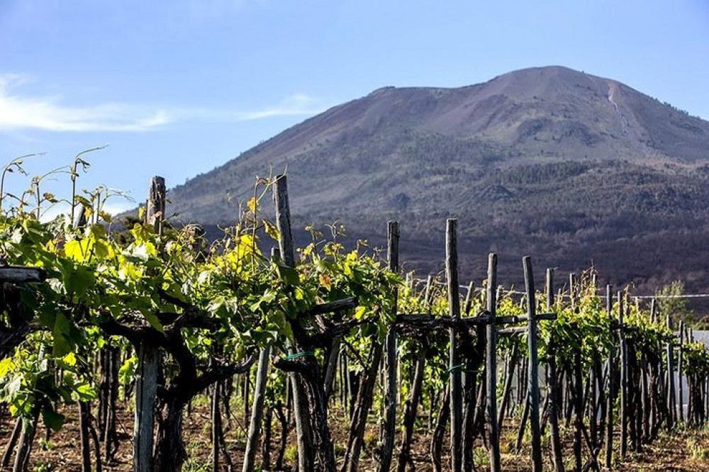 Mount Vesuvius & Wine Tasting With Lunch Private Tour