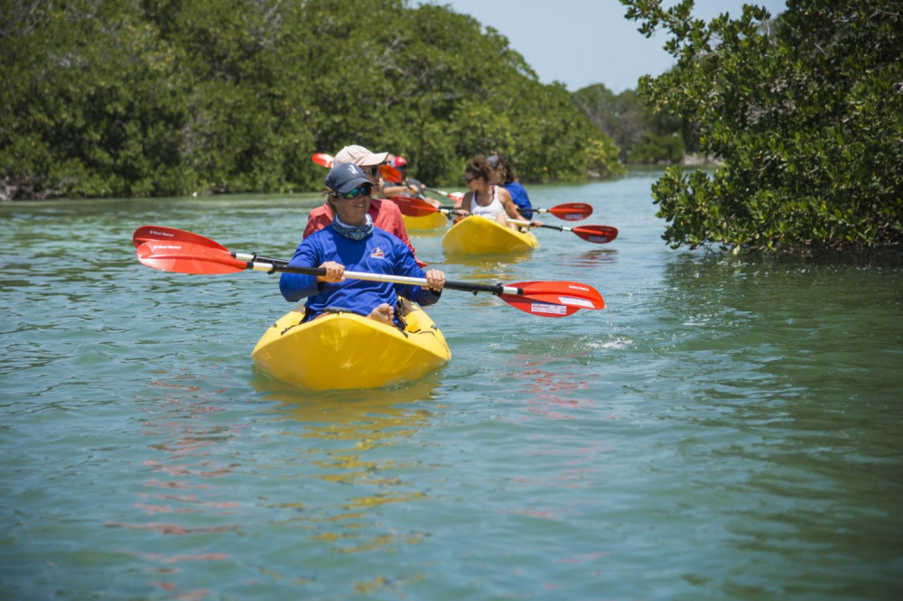 Key West Ultimate Island Eco Tour With Transport