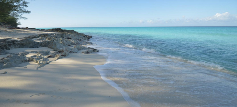 Ferry Tickets To Bimini, Economy Premium Class - Overnight