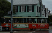 Gray Line Miami6