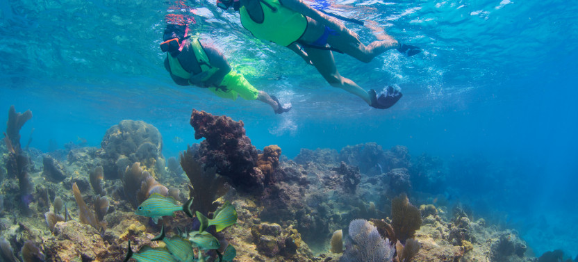 Key West Day Trip & Snorkeling Adventure From Fort Lauderdale