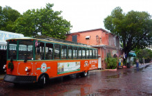 Key West Day Trip & Trolley From Fort Lauderdale