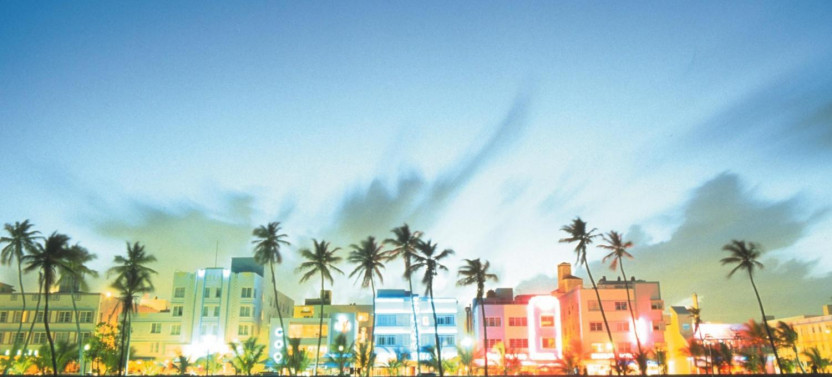 Fort Lauderdale Pre- Or Post-Cruise Private Miami City Tour