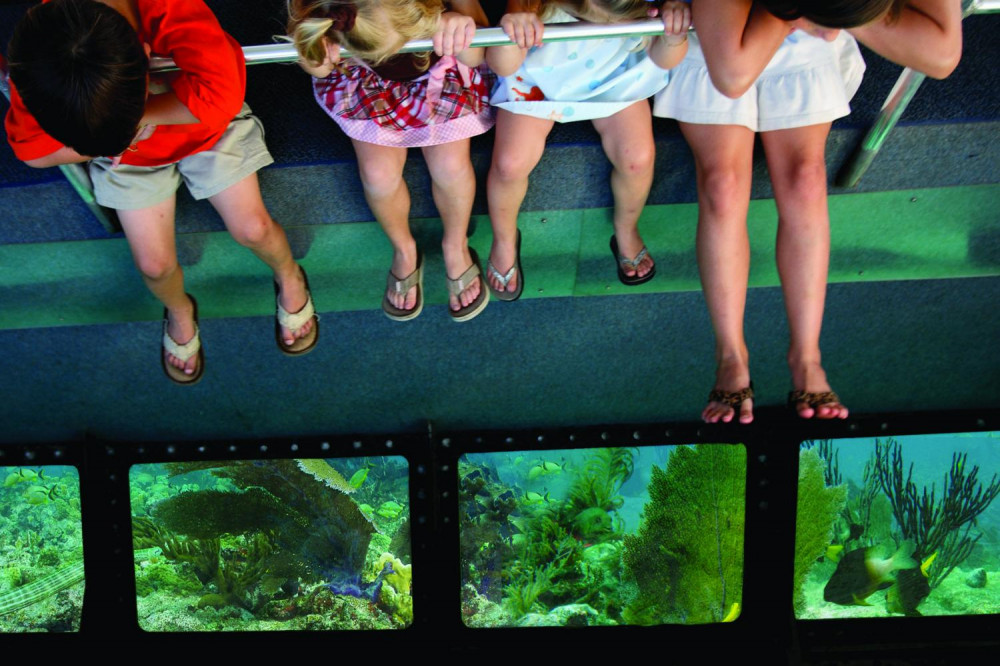 Glass Bottom Boat in Key West