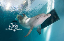 Clearwater Marine Aquarium - General Admission Tickets