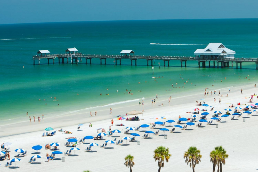 Clearwater Beach Bus