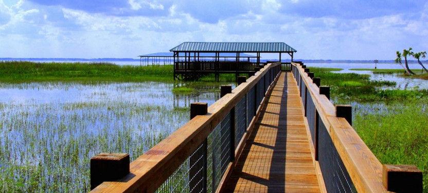 Ultimate Airboat Ride at Wild Florida with Transportation