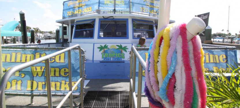 The Dolphin Encounter Tour and Clearwater Beach