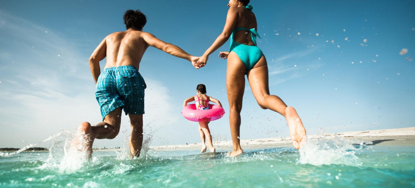 The Dolphin Encounter Tour and Clearwater Beach