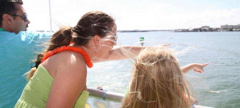 The Dolphin Encounter Tour and Clearwater Beach