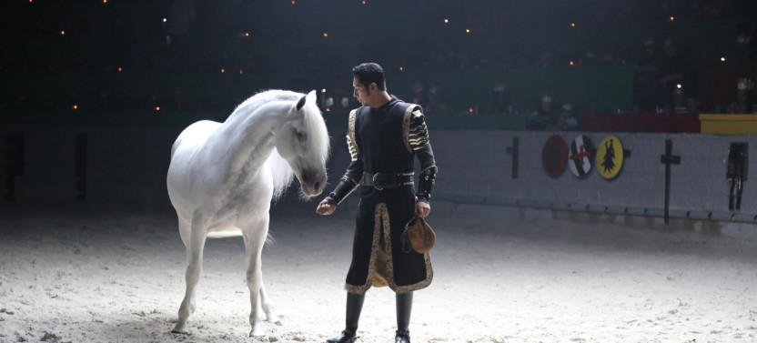 Medieval Times Dinner & Tournament