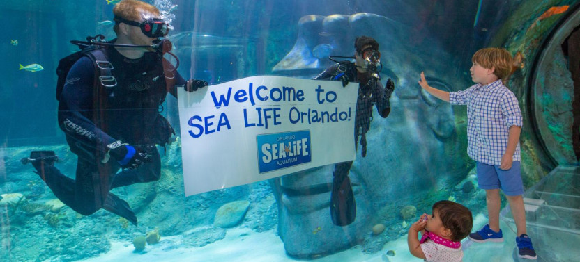 Sealife Orlando - Admission