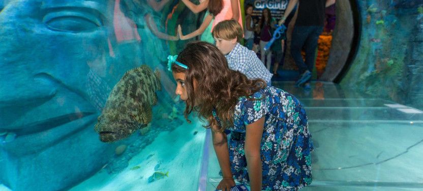 Sealife Orlando - Admission