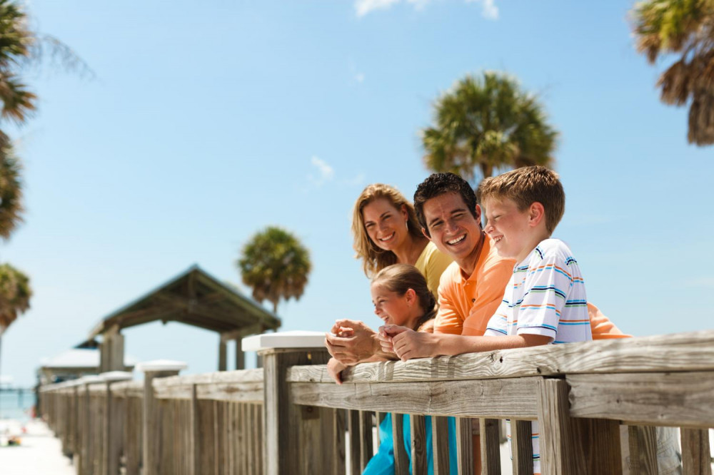 The Dolphin Encounter Boat Ride Plus Lunch