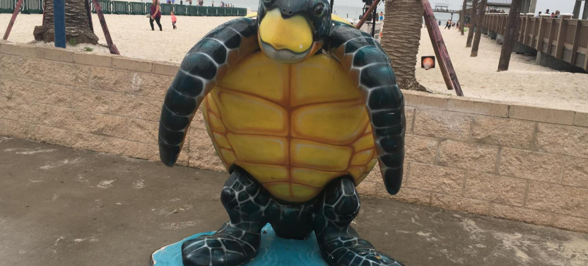Clearwater Beach Bus Express