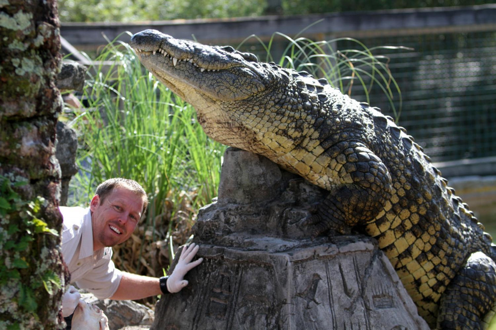 Gatorland Tickets Only