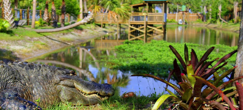 Wild Florida Wildlife Park Admission