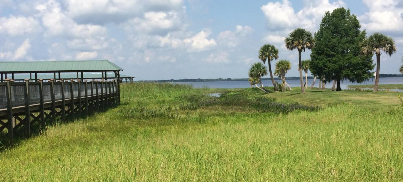 1-Hour Wild Florida Airboat - No Transportation