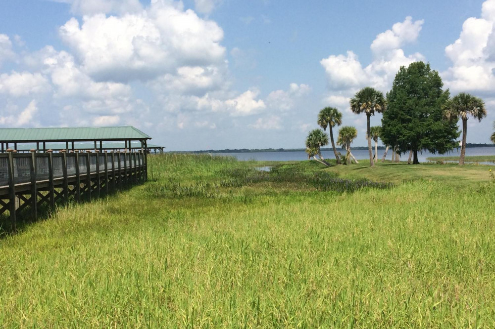 1-Hour Wild Florida Airboat - No Transportation