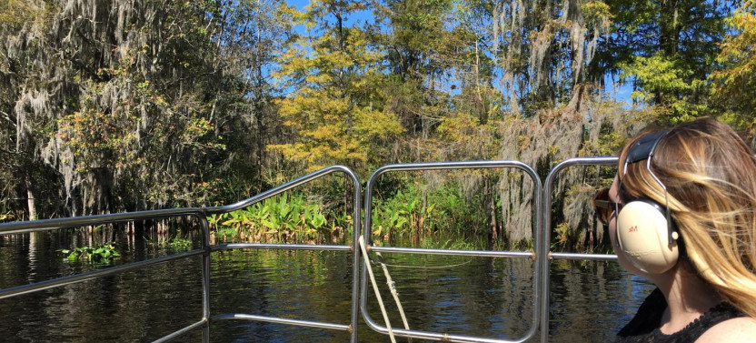 1-Hour Wild Florida Airboat - No Transportation