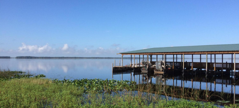 30-Minute Wild Florida Airboat - No Transportation