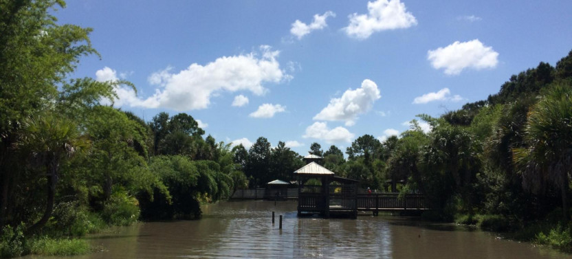 30-Minute Wild Florida Airboat - No Transportation