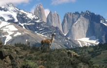 Full Day to Torres del Paine National Park
