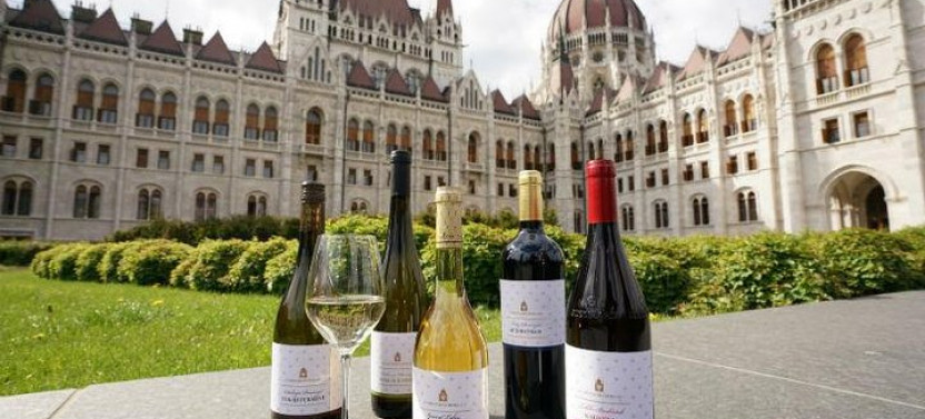 Private Budapest Sightseeing Tour Including Etyek Wine Tour