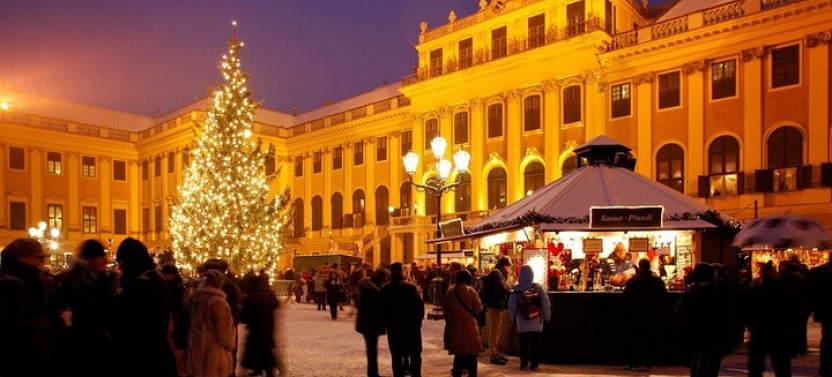 Full Day Private Vienna Christmas Market Tour From Budapest