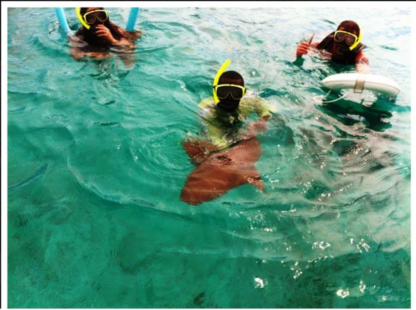 Snorkeling Trips