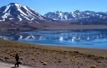 Altiplanic Lagoons & Atacama Salt Flat