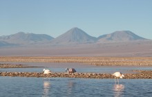 Atacama Salt Flat And Toconao