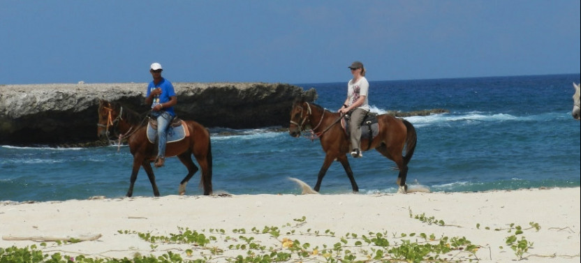 Morning Tour and Beach Ride