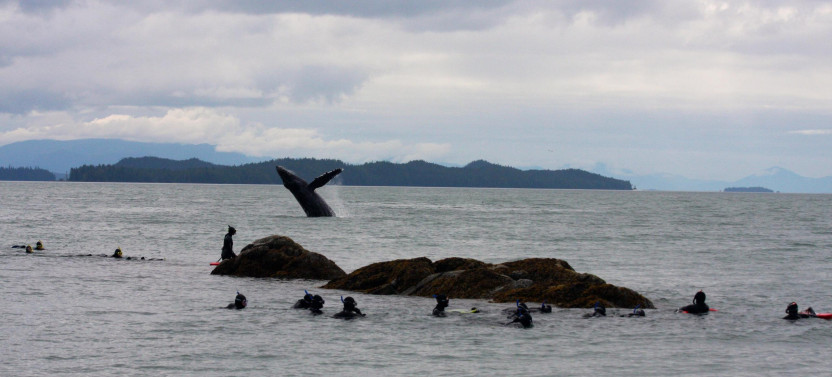 Small Group Mountain Point Snorkeling Adventure