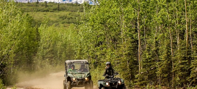 Denali Wilderness ATV Adventure