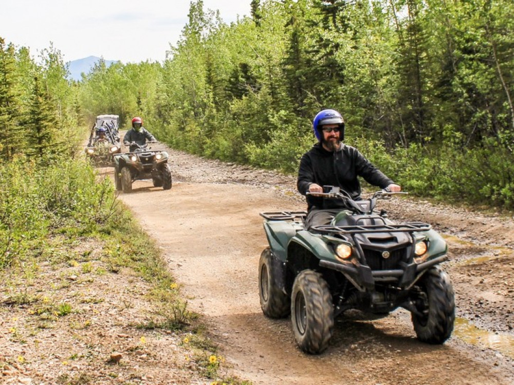 Denali ATV Trailblazer