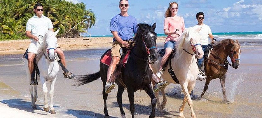 Private VIP Sightseeing, Shopping And Beach Tour