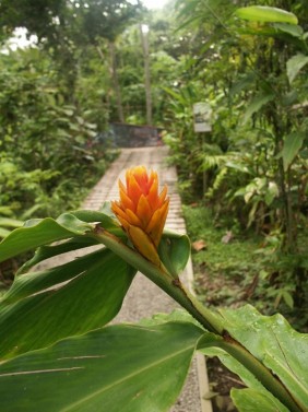 Highlights of Soberania National Park