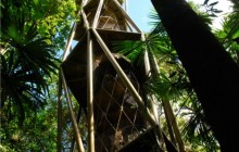 The Panama Rainforest Discovery Center