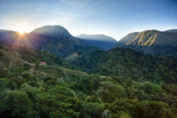 A picture of Mount Totumas Cloud Forest