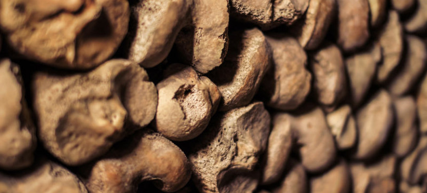 Skip-the-Line Paris Catacombs Tour with Special Access