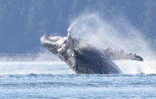 Glacier Wind Charters1