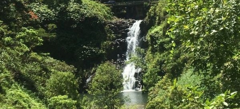 Private Half Day Hana Adventure
