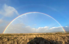 Hawaii by Storm Tours5