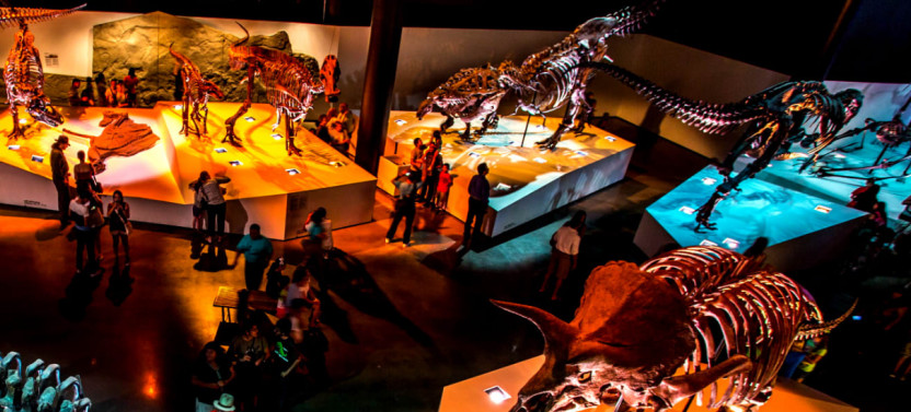 1-Day Pass: 4+ Kid-Friendly Houston Museums & More