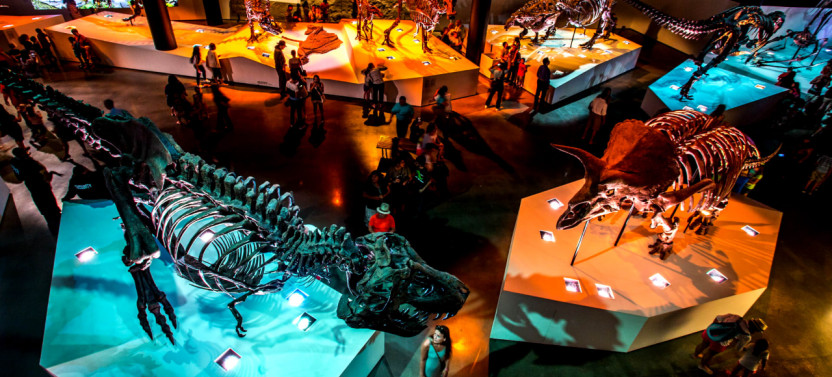 3-Day Pass to Houston Museums: Unlimited Entry to 13+ Different Museums