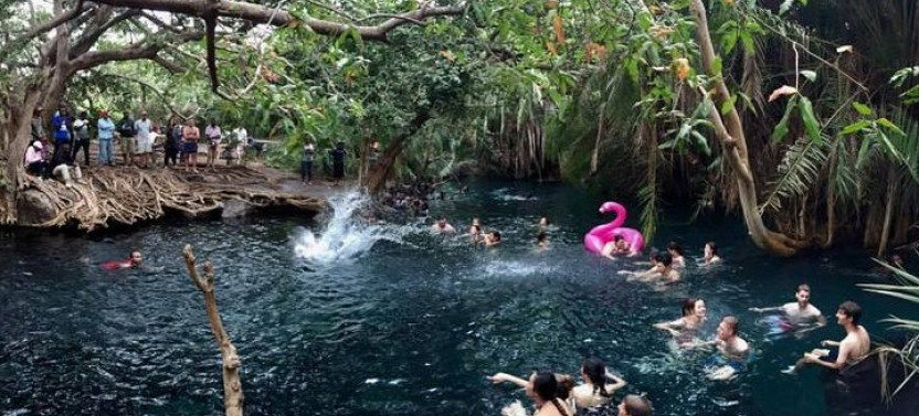Kikuletwa Hot Springs Day Trip