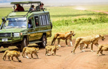 6-Days Tanzania Northern Circuit Lodge Safari