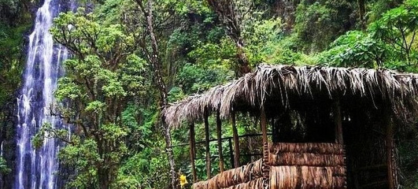 Materuni Waterfalls, Coffee and Village Full Day Tour